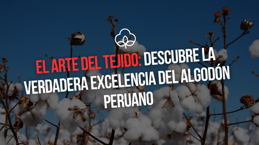 EL ARTE DEL TEJIDO: DESCUBRE LA VERDADERA EXCELENCIA DEL ALGODON PERUANO