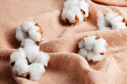 Descubre el Secreto del Algodón Peruano: La Elección Premium para tu Negocio - Xtextile Provider Worldwide