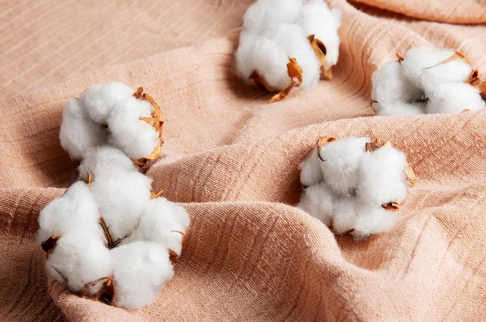 ¿Por qué el algodón peruano es superior frente a otras telas? - Xtextile Provider Worldwide