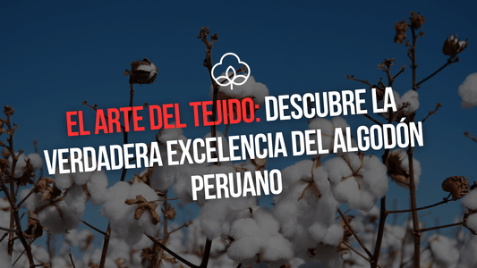 EL ARTE DEL TEJIDO: DESCUBRE LA VERDADERA EXCELENCIA DEL ALGODON PERUANO - Xtextile Provider Worldwide